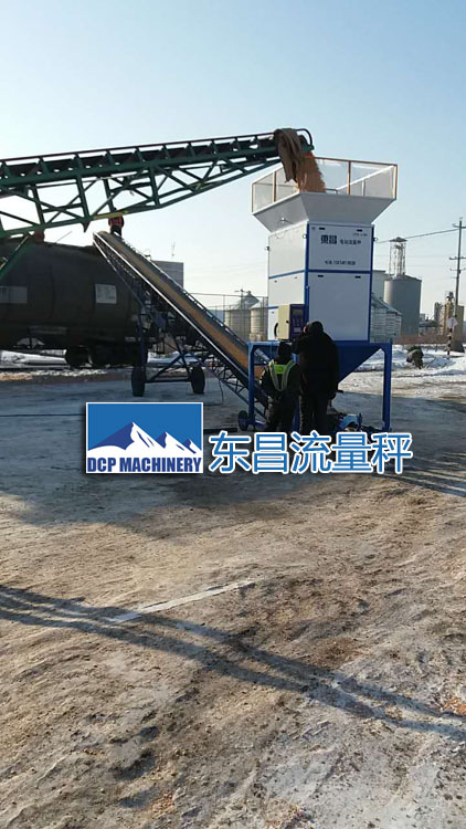 吉林糧食流量秤DCS-L100，50